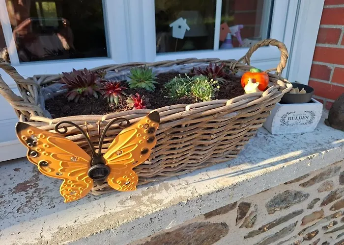 Feriehus House For 9 People *